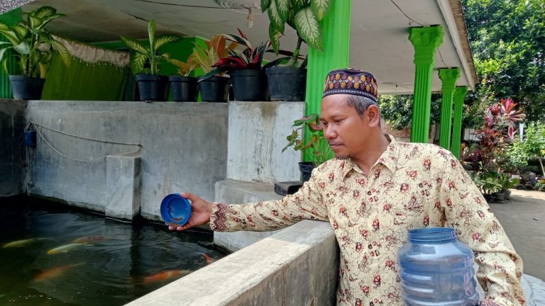 Dibalik Cerita Rofiq, Sukses Sebagai Peternak Ikan Koi